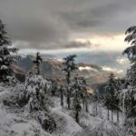 Best Places To Stay In Fagu