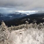 Best Places To Stay In Fagu