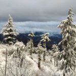 Best Places To Stay In Fagu